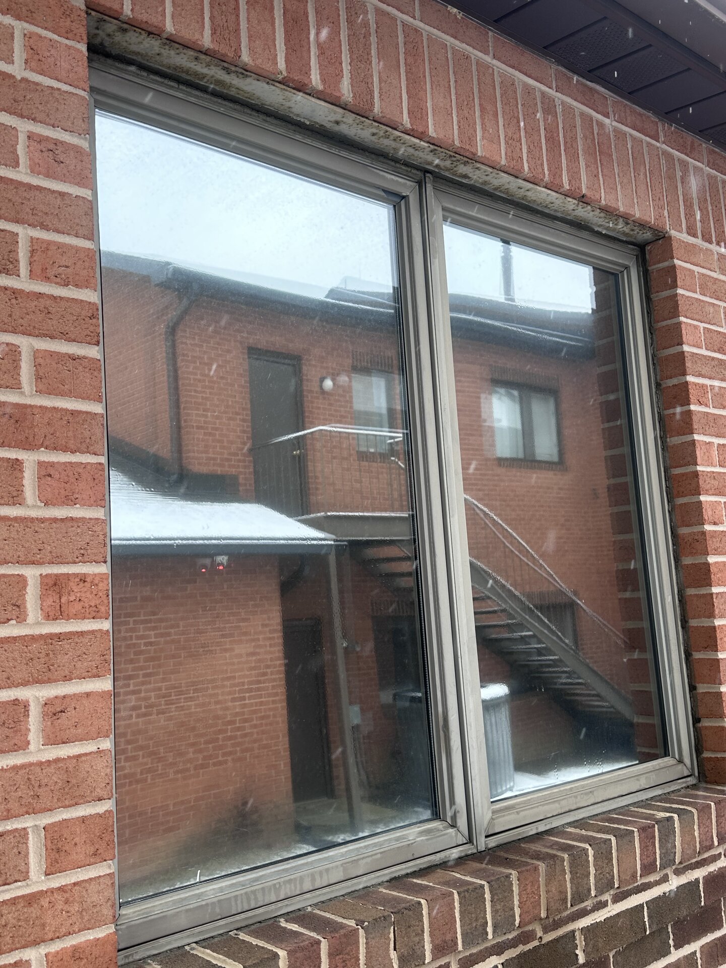 Commercial window tinting